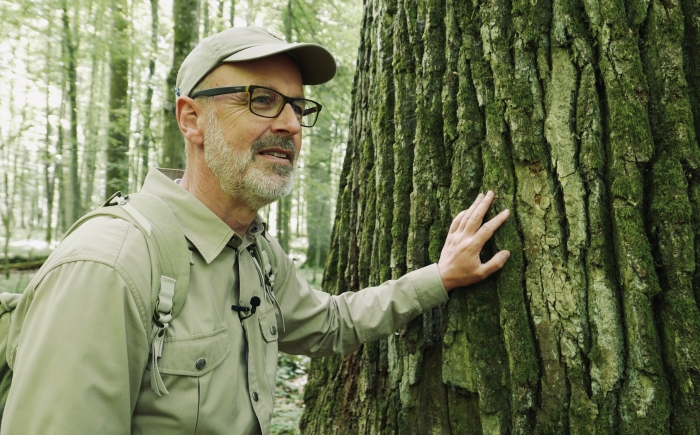 Autor Peter Wohlleben lehnt in seinem neuen Film "Das geheime Leben der Bäume" an einem Baum im Wald. 